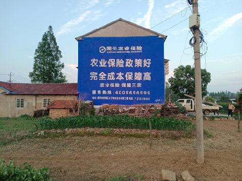 大田墙体广告的优劣势你知道吗？